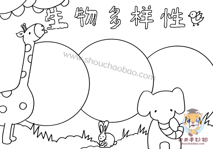 生物多样性手抄报