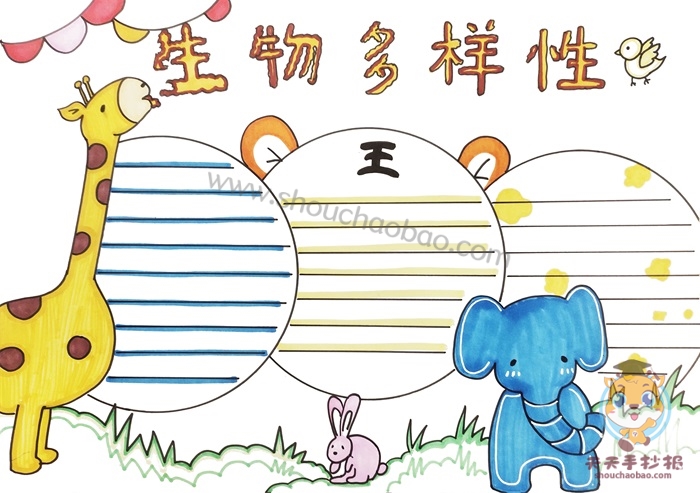 生物多样性手抄报