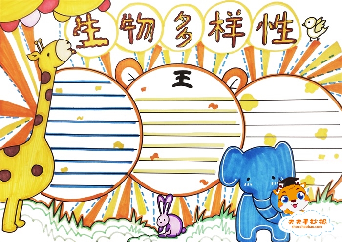 生物多样性手抄报