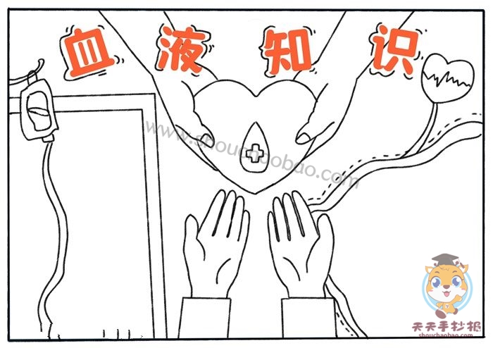 血液知识手抄报