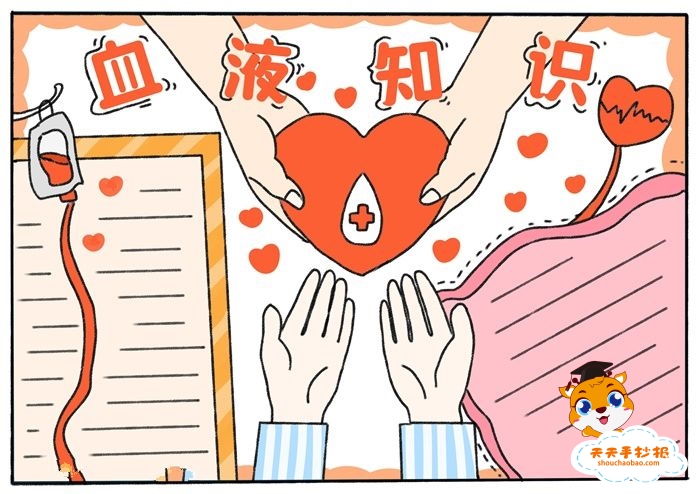 血液知识手抄报
