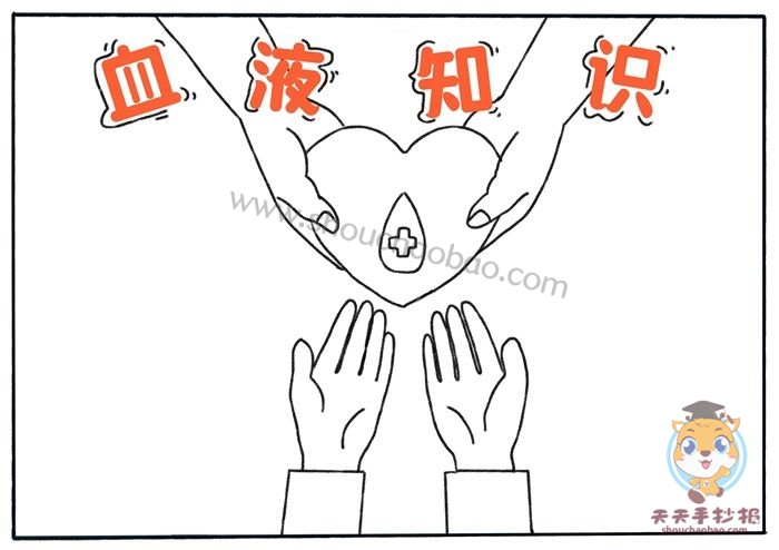 血液知识手抄报