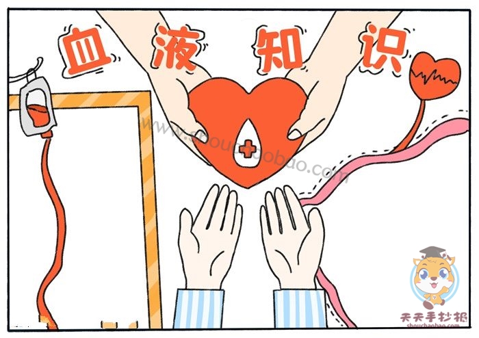 血液知识手抄报