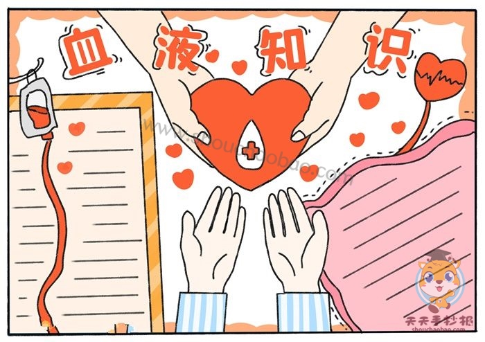 血液知识手抄报