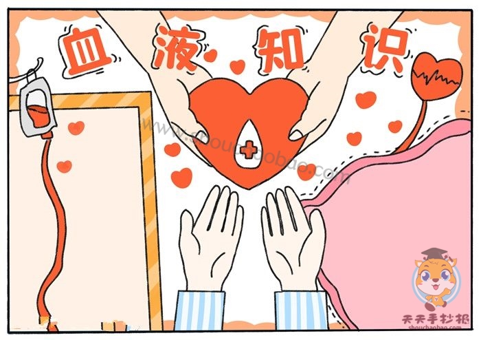 血液知识手抄报