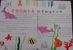 海底世界手抄报，美丽的海洋