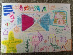 海底世界手抄报，奇妙的海底