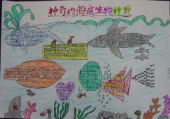 海底世界手抄报，神奇的海底生物种群