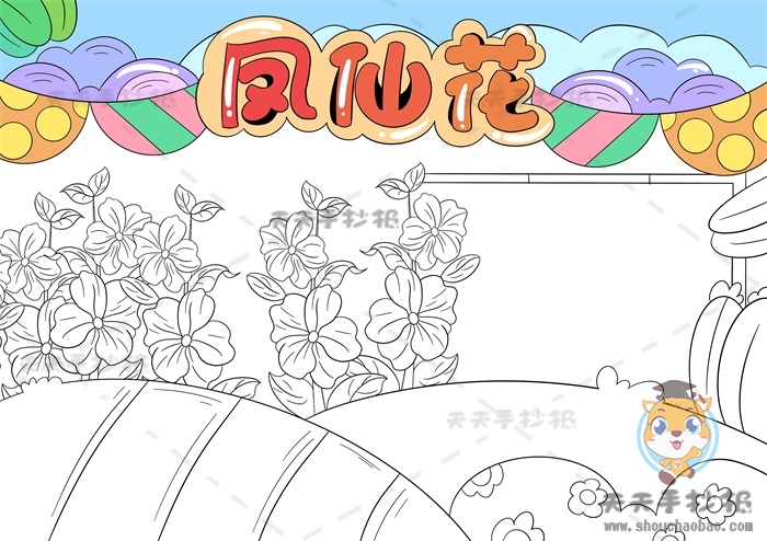 凤仙花手抄报