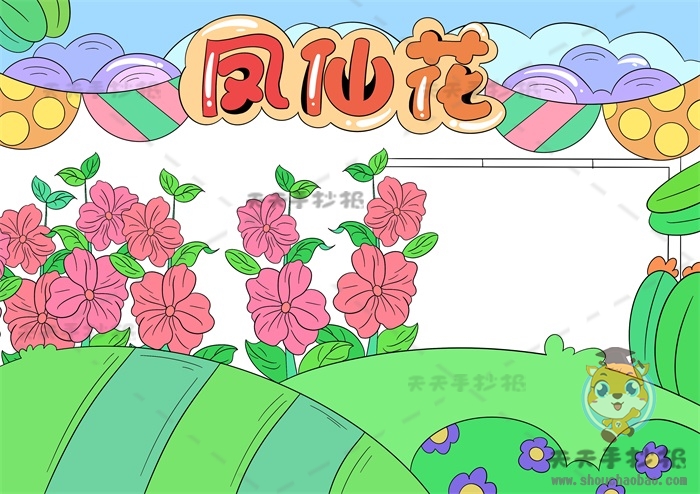 凤仙花手抄报