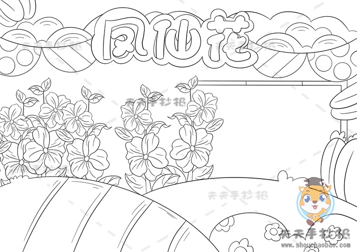凤仙花手抄报