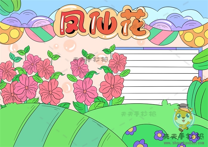 凤仙花手抄报