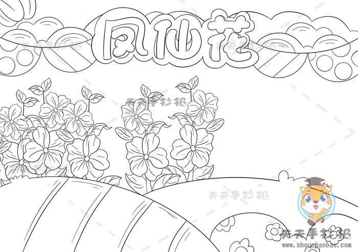 凤仙花手抄报