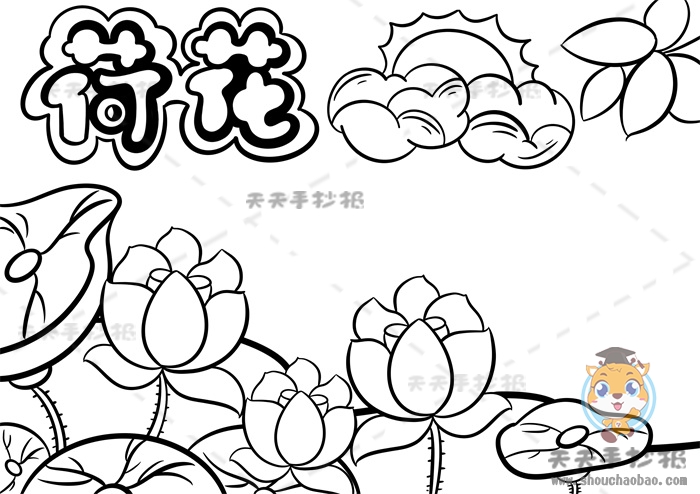 荷花手抄报