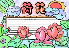 荷花手抄报怎么画简单又漂亮，关于荷花手抄报模板的绘画步骤教程