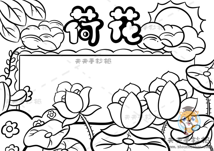 荷花手抄报