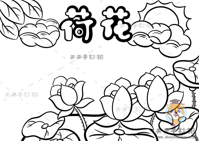 荷花手抄报