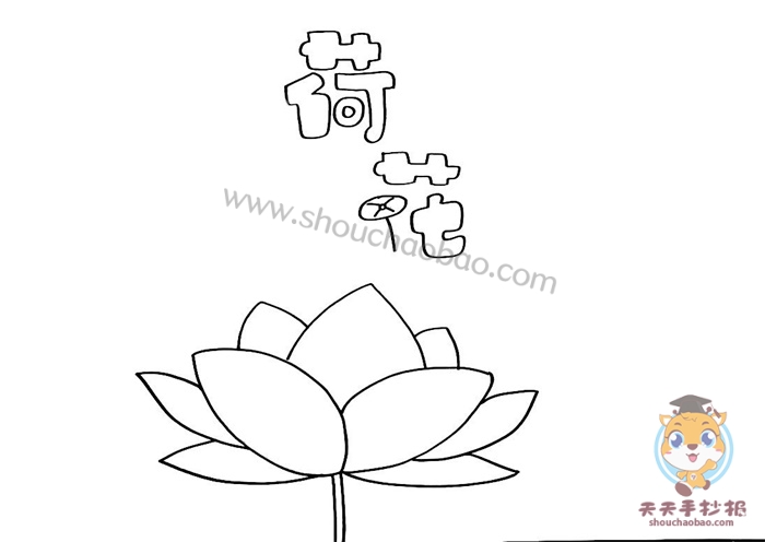 荷花手抄报