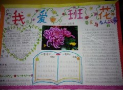 花的手抄报，我爱班花