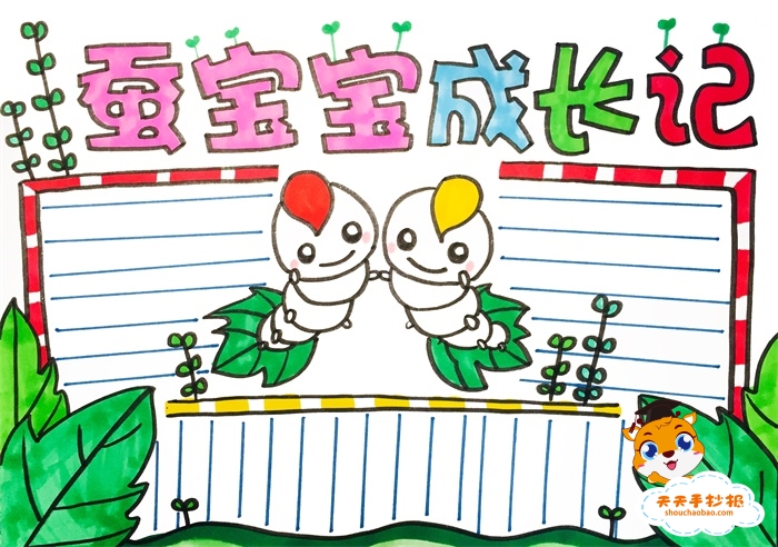 蚕宝宝成长记手抄报