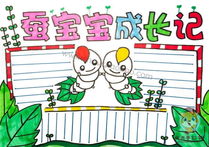 蚕宝宝成长记手抄报