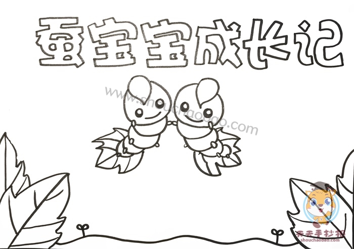 蚕宝宝成长记手抄报