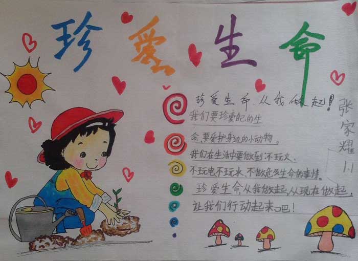 简单的珍爱生命手抄报图片，生命可贵