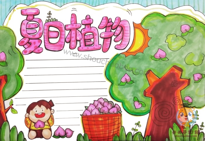 夏日植物手抄报