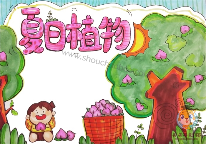 夏日植物手抄报