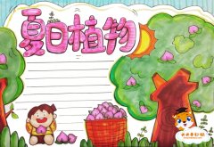 简单好看的夏日植物手抄报教程，夏日植物手抄报怎么画