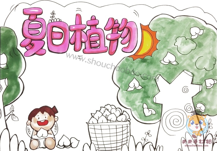 夏日植物手抄报