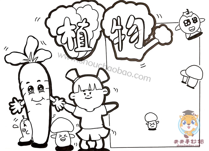 植物手抄报