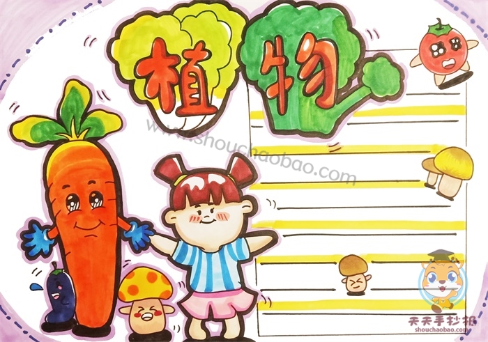 植物手抄报
