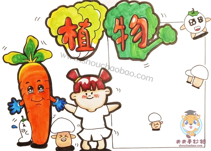 植物手抄报