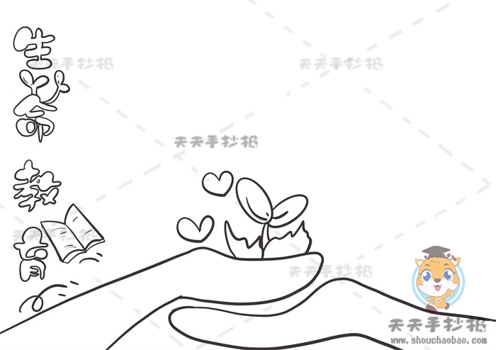 生命教育手抄报