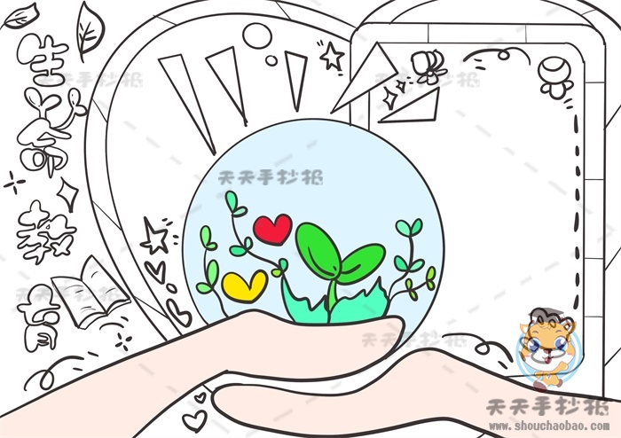 生命教育手抄报