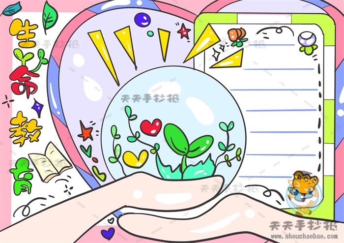 生命教育手抄报