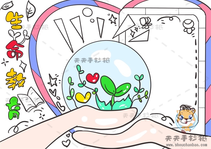 生命教育手抄报