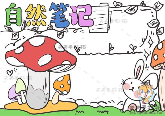 自然笔记手抄报