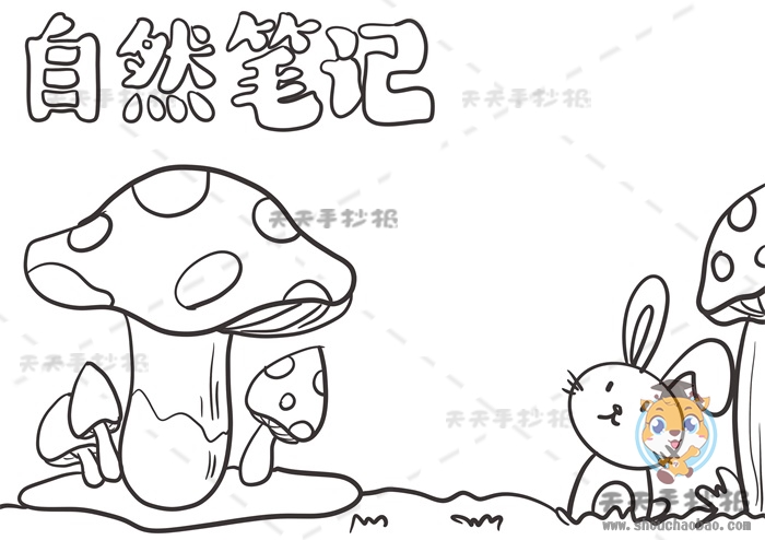 自然笔记手抄报