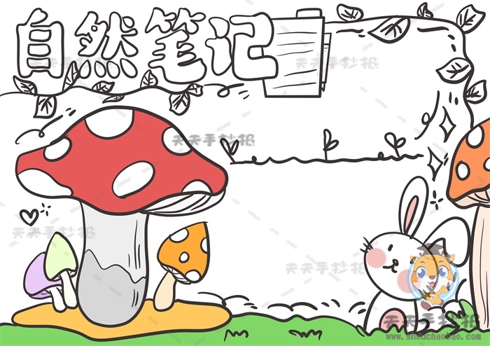 自然笔记手抄报