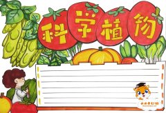 简单又漂亮的科学植物手抄报画法，科学植物手抄报相关图片