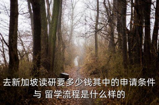 去新加坡读研要多少钱其中的申请条件与 留学流程是什么样的