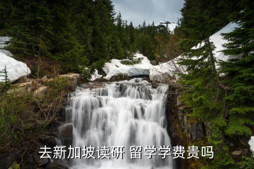 去新加坡读研 留学学费贵吗