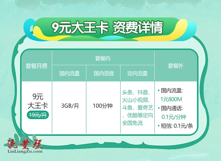 中国电信“大王卡”9元/月:3G流量+1元800M+100分钟+免流