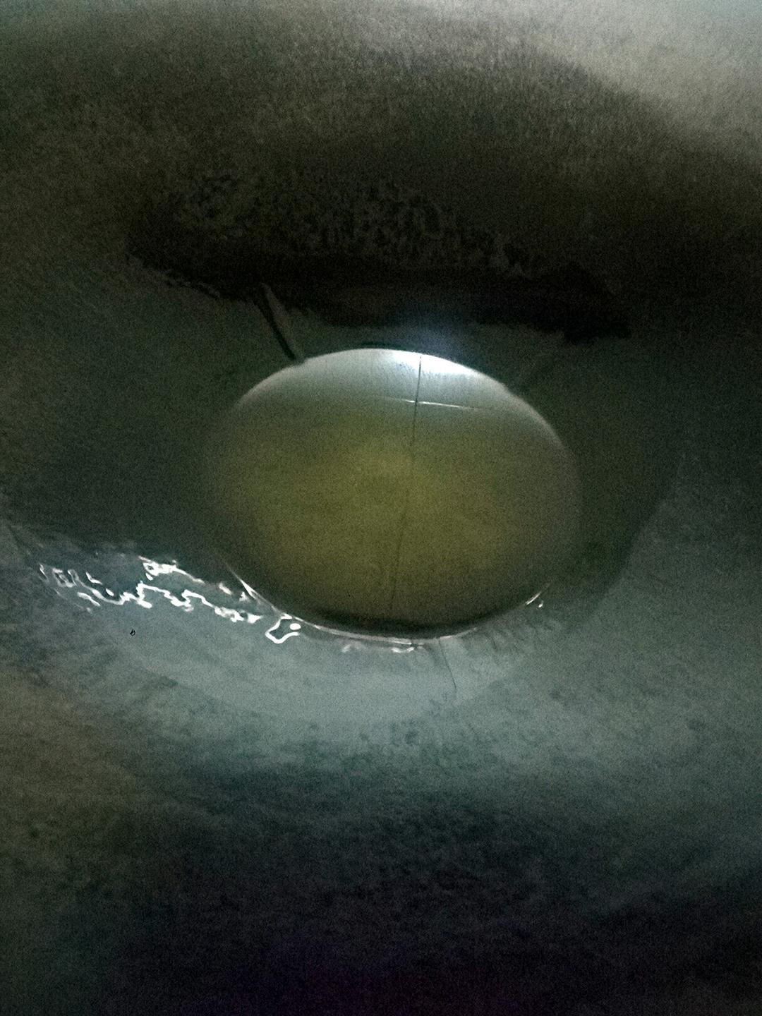 叉燒醬的做法 步驟3