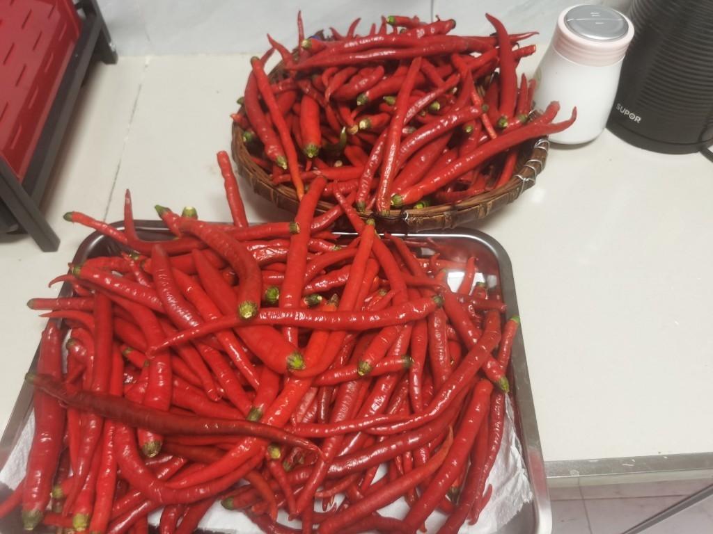 自制豆瓣醬的做法 步驟4