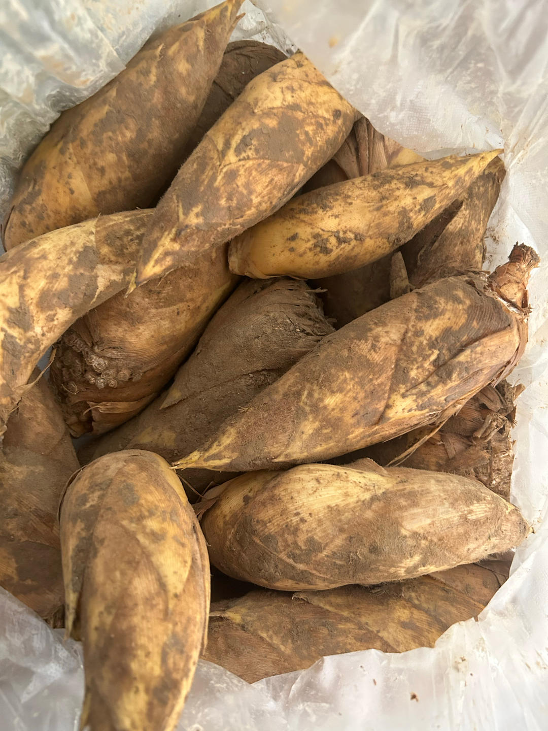 春捲餡料  食譜做法 步驟1