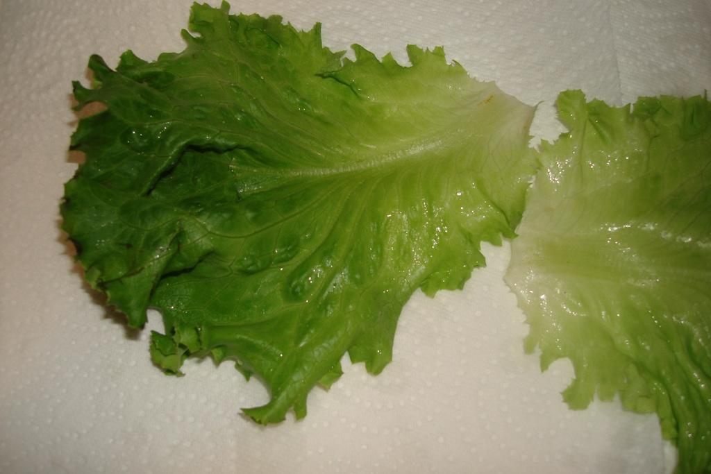 韓式生菜包肉的做法 步驟7