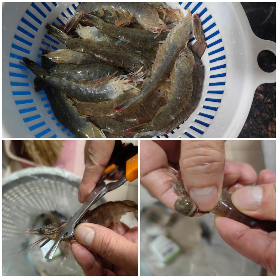 清蒸蝦子 食譜做法 步驟1